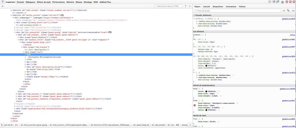 firebug description longue.jpg