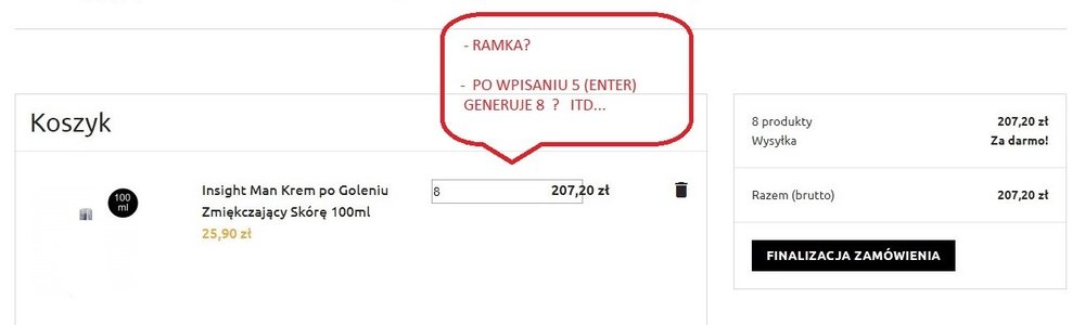 koszyk z błędem — kopia.jpg