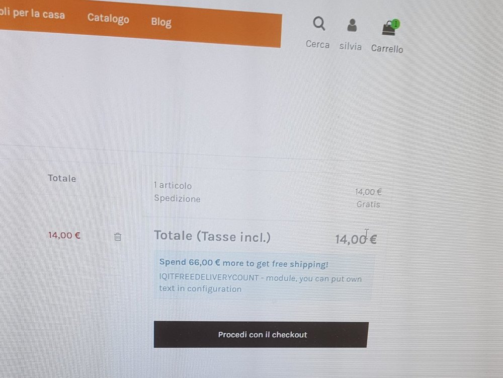 errrore checkout.jpg