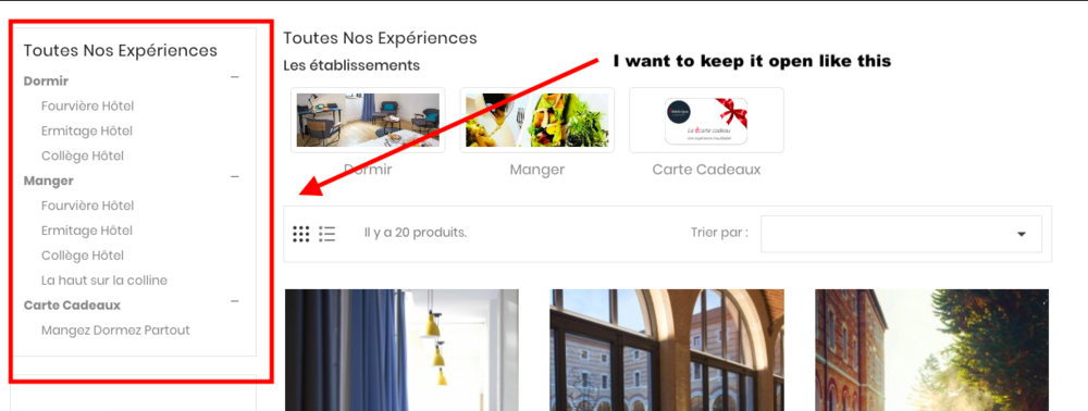 Capture d'écran 2018-04-23 à 08.30.01 AM.png