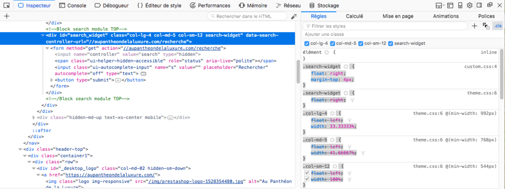 capture 3  search_widget.png