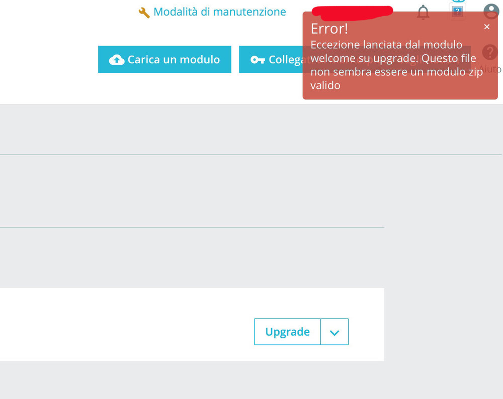 errore dopo aggiornamento copia.jpg