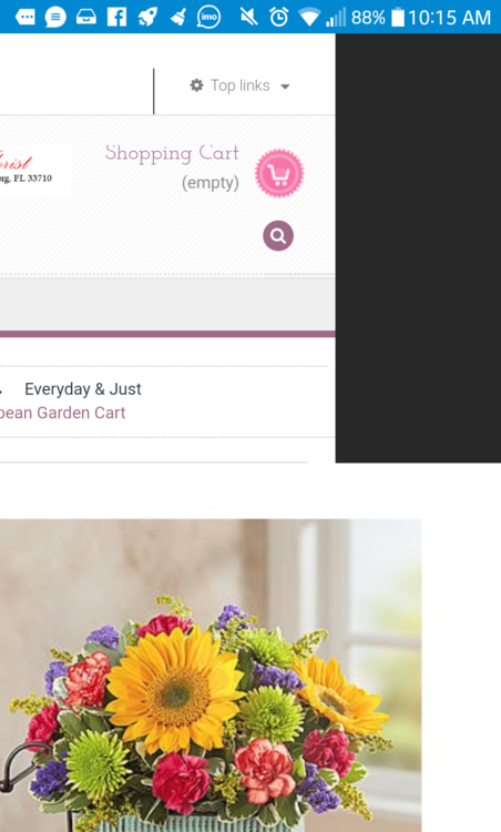 incorrect image scaling on mobile platform when click on enlarge.png