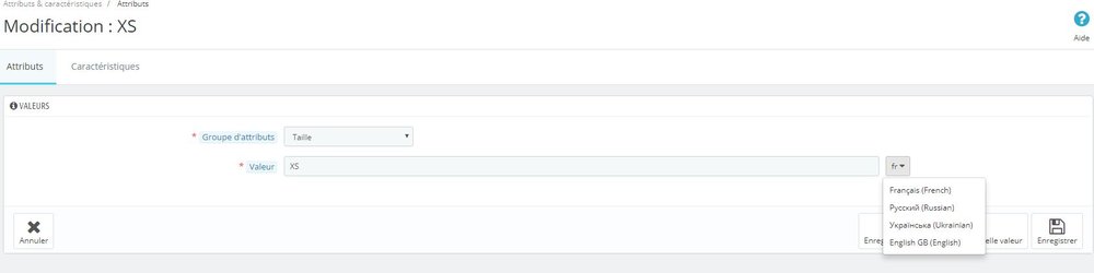 02-Capture - Attributs - Taille - XS.JPG