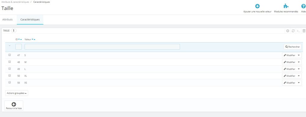 03-Capture - Caractéristiques - Taille.JPG