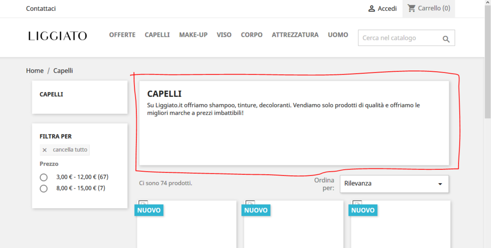 Box Titolo Categoria.PNG