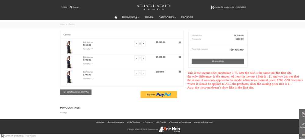Site here price rule doesn´t work CICLON.png