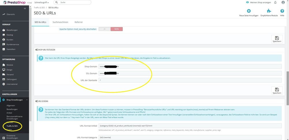 Screenshot SEO-URL.jpg