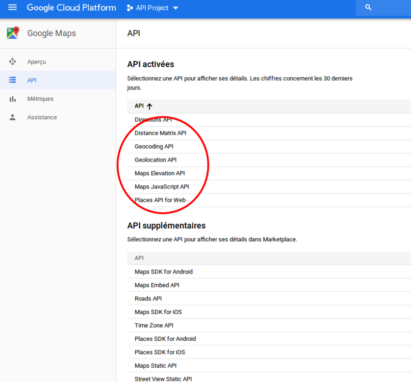 API – Google Maps – API Project – Google Cloud Platform.png