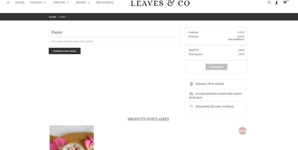 probleme panier 3.PNG