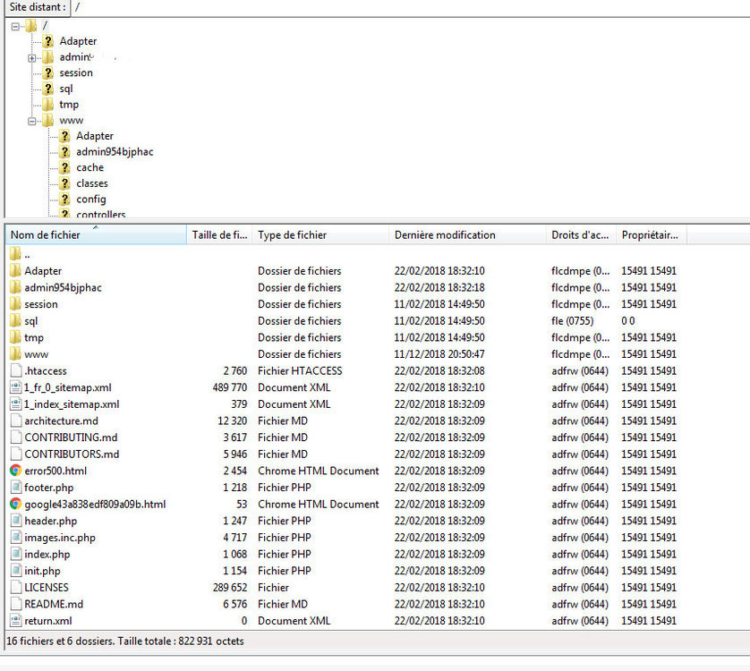 Sans titre-1 copie.jpg
