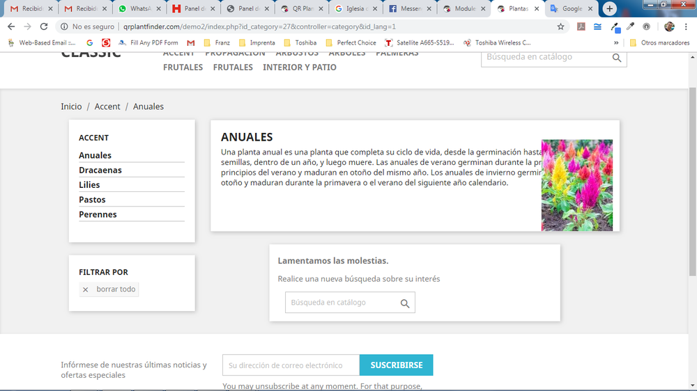 Captura de pantalla 2019-05-28 21.00.56.png