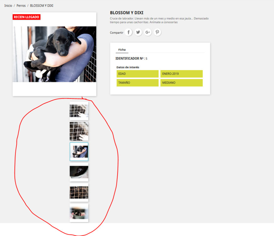 image.thumb.png.01ef2d1283300a28e8ac11e0edb30a9e.png
