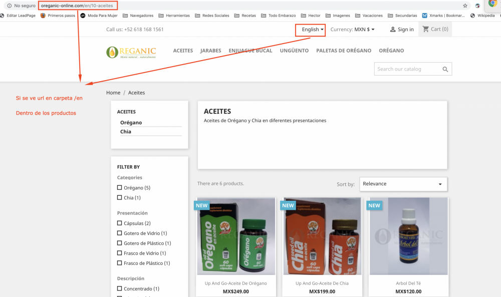 2 Error en Pagina en Ingles.png