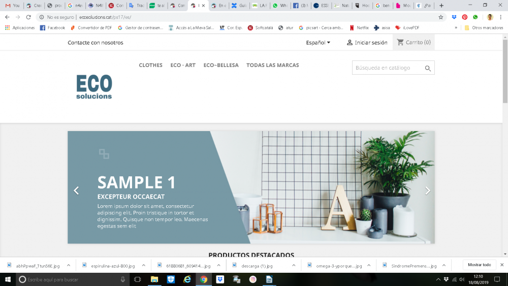 Captura de pantalla 2019-08-18 12.10.22.png