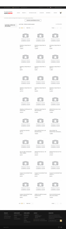Screenshot_2019-09-20 Guttler - Pièces de rechange.png