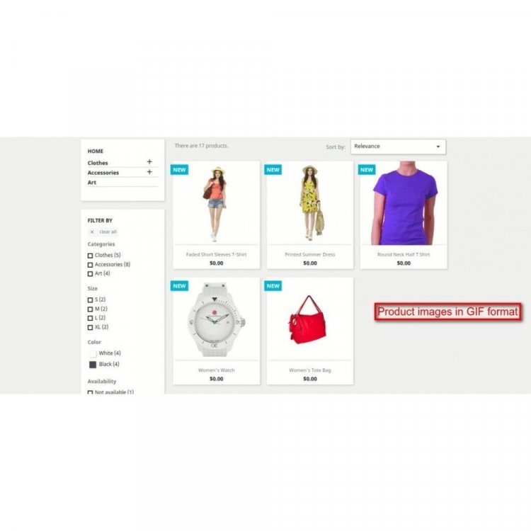 gif-image-upload (4).jpg