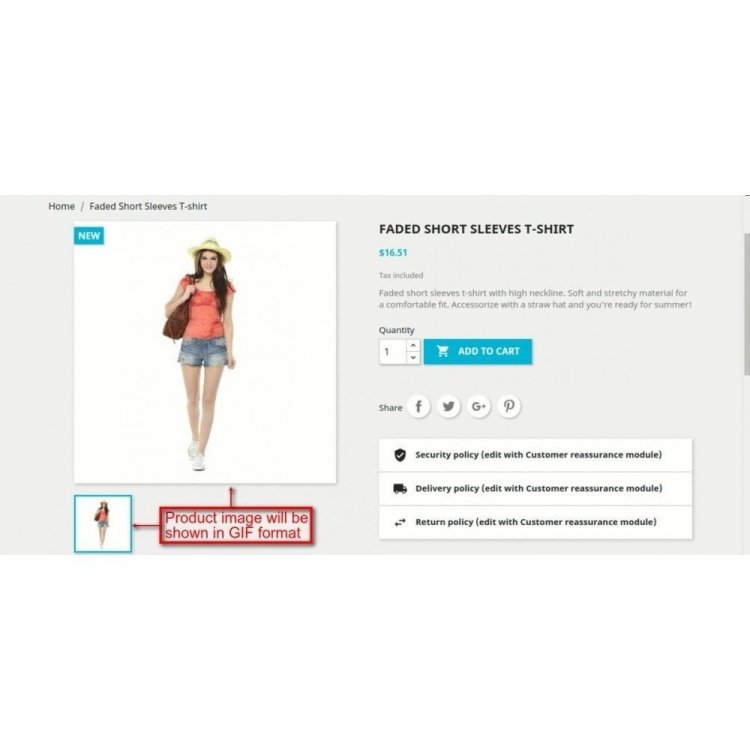 gif-image-upload (5).jpg