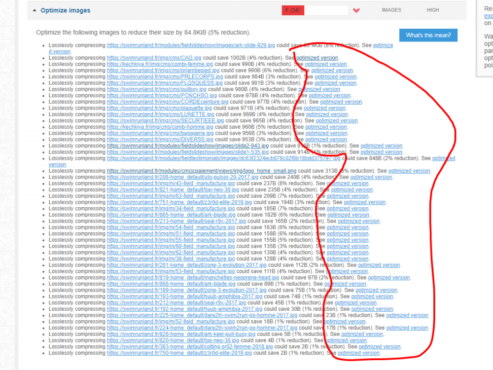 Archived Performance Report for  http   www swimrunland fr    GTmetrix.png