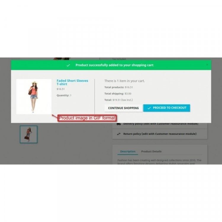 gif-image-upload (6).jpg