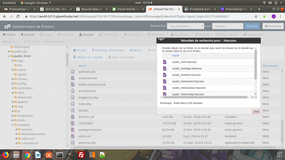 Capture d’écran de 2019-12-17 12-14-41.png
