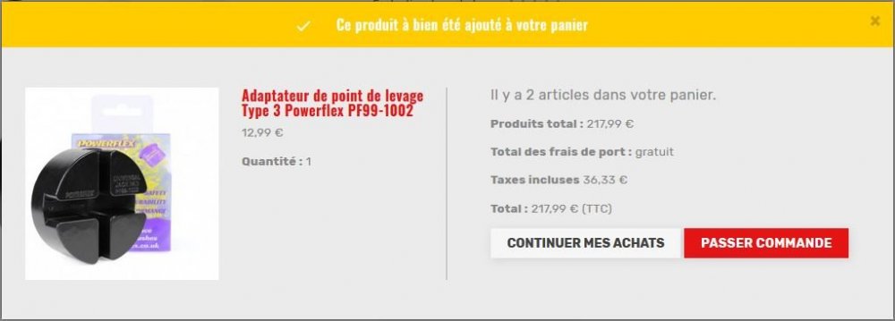 Capture panier code erreur 2 articles.JPG