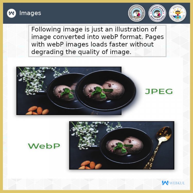 google-webp-image-converter.thumb.jpg.5e77be0f80ae652161802edd1e8700a2.jpg