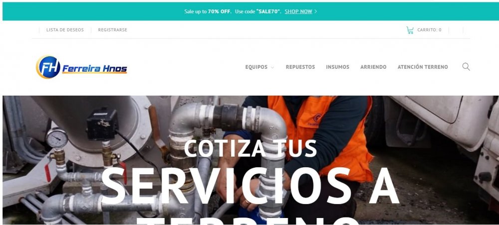 pantallazo pagina.jpg