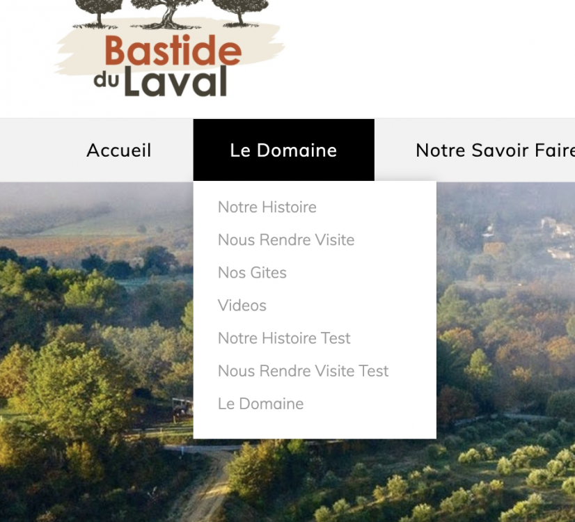 Capture d’écran 2020-05-25 à 16.46.32.png