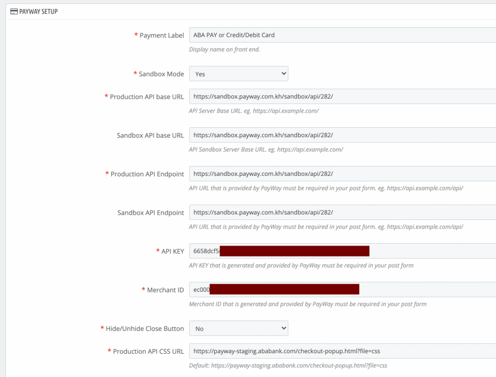 Screenshot - payway config 1.png