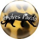 Andres Pardo