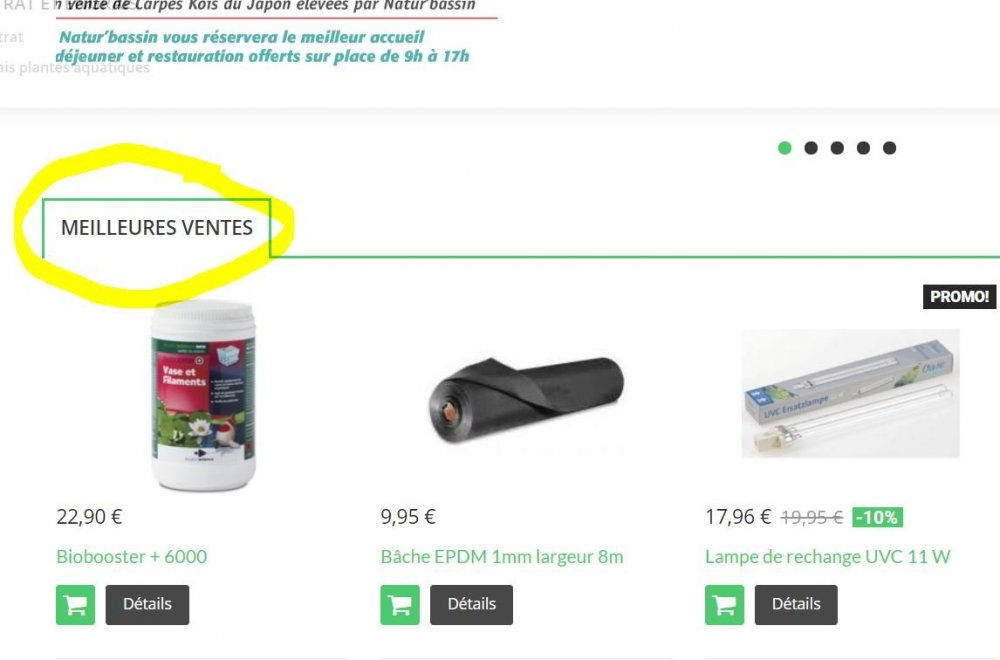 meilleurs ventes.JPG