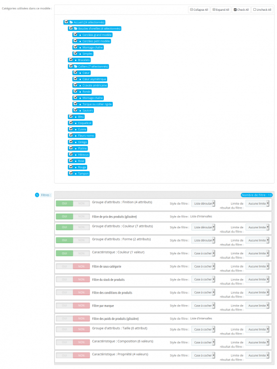 FireShot Capture 149 - Module Manager • Bijoux by Rachel Plantier - www.bijoux-rachel-plantier.fr.png