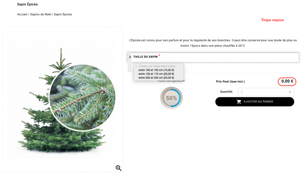 Capture d’écran 2020-11-09 à 09.21.17.png