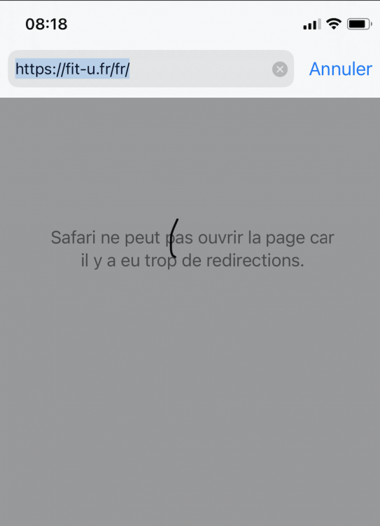 Zrzut ekranu 2020-12-21 o 15.13.40.png