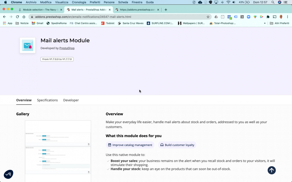 Schermata 2020-12-06 alle 12.57.31.png