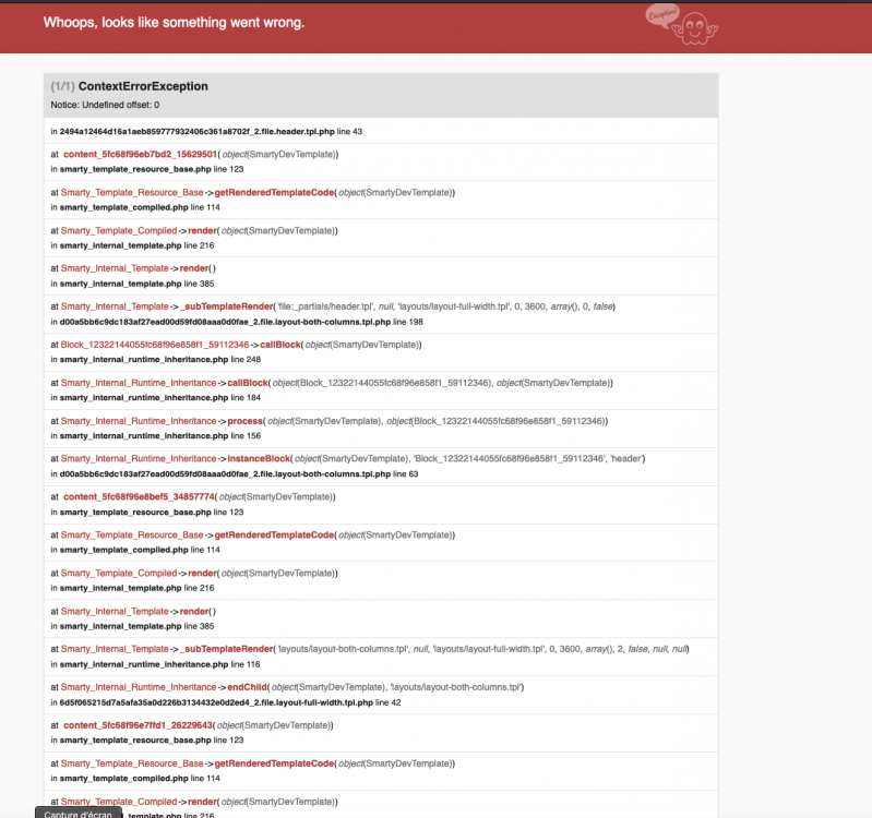 Capture d’écran 2020-12-01 à 19.47.19.png