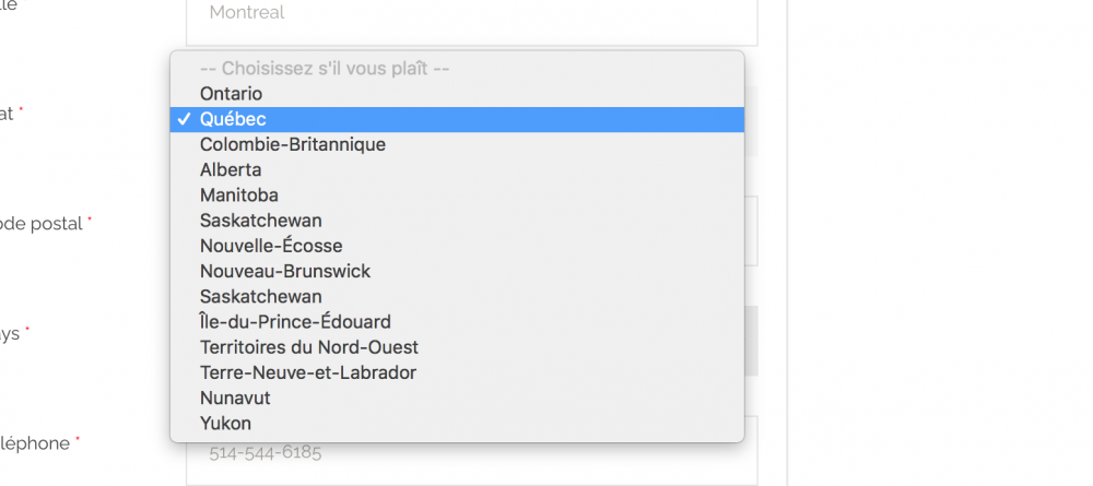 Capture d’écran 2021-01-25 à 12.03.23.png