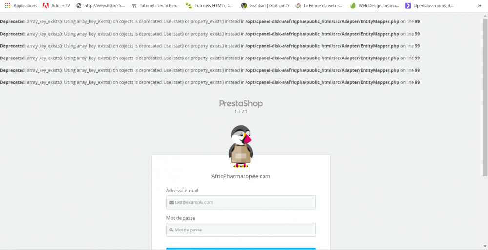 Capture d’écran 2021-01-28 084601.png