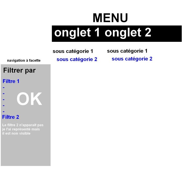 probleme navigation a facette.jpg