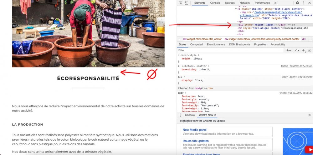 Capture d’écran 2021-02-19 à 16.20.12.jpg
