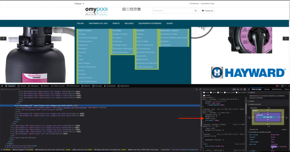 Capture d’écran 2021-02-27 à 10.56.34.png
