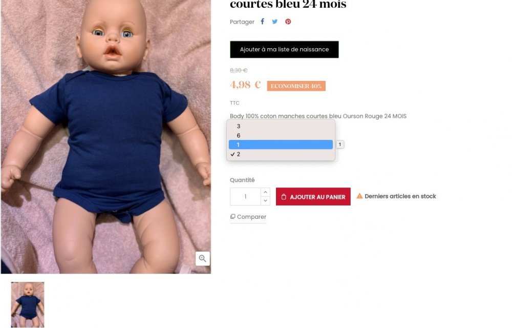 Capture d’écran 2021-02-10 à 09.38.33.jpg