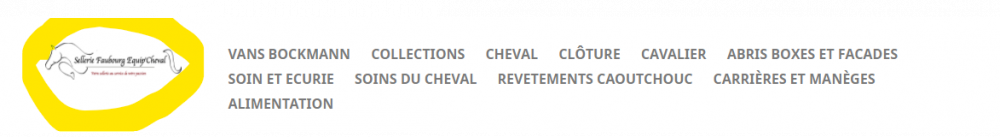 Capture d’écran 2021-02-17 153555.png