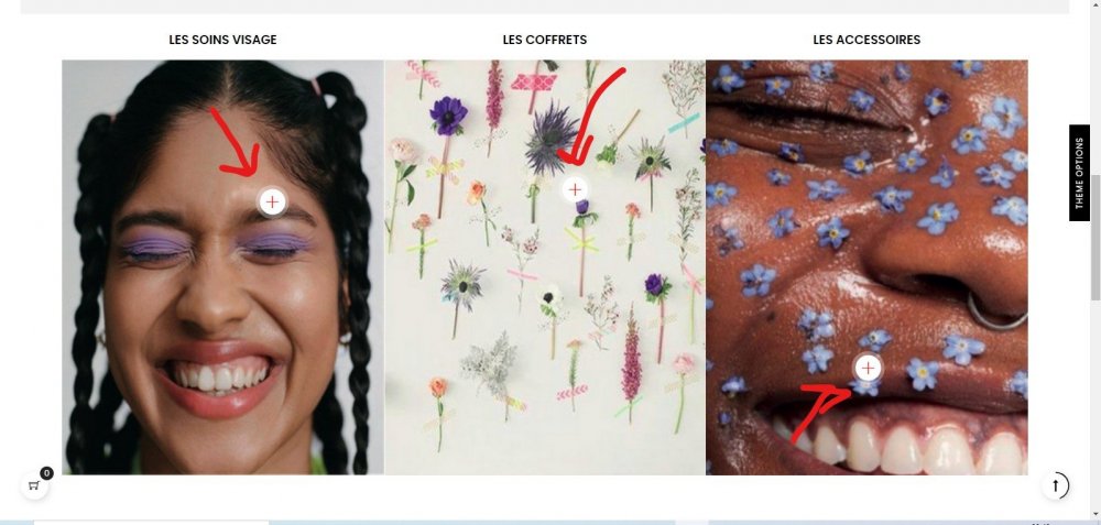 Capture d’écran 2021-02-11 004830.jpg