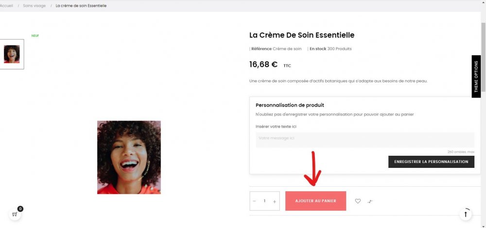 Capture d’écran 2021-02-11 004716.jpg