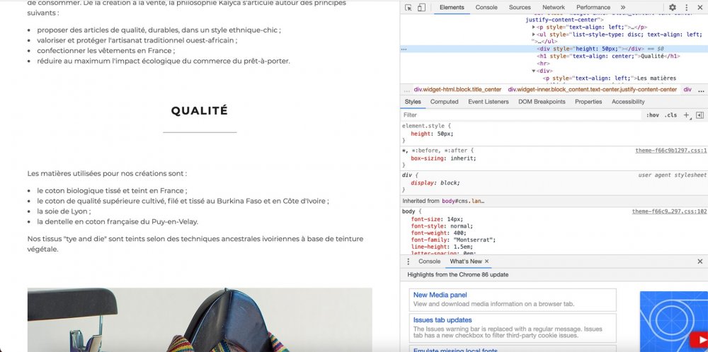 Capture d’écran 2021-02-19 à 16.36.57.jpg