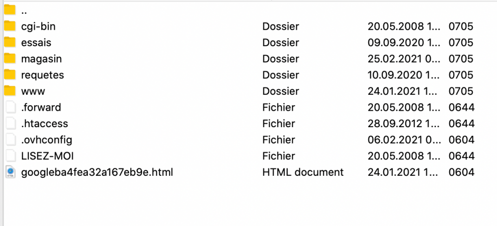 Capture d’écran 2021-02-25 à 17.55.18.png