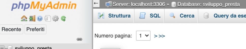 Schermata 2021-02-15 alle 09.59.08.jpg