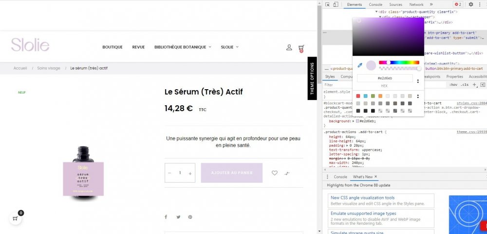 Capture d’écran 2021-02-15 011535.jpg